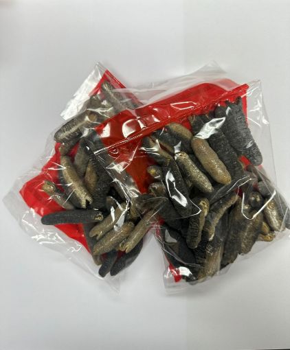 Picture of 40-50 pieces of bald sea cucumber